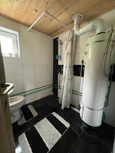 a bathroom with a toilet and a large pipe at Mirno mjesto in Mujakovići
