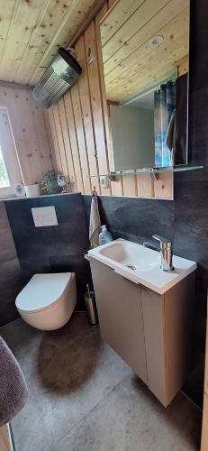 a bathroom with a white sink and a toilet at Tiny House An der Pferdekoppel in Groß Garz