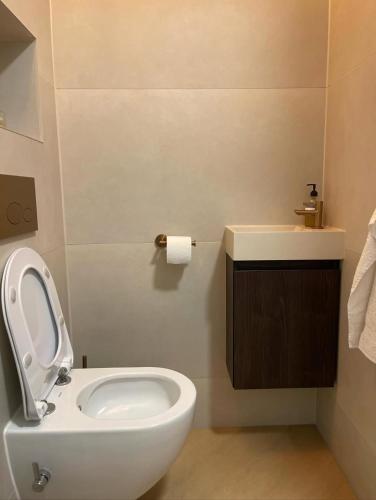 a bathroom with a white toilet and a sink at Rum Horizon Camp& Tours in Wadi Rum