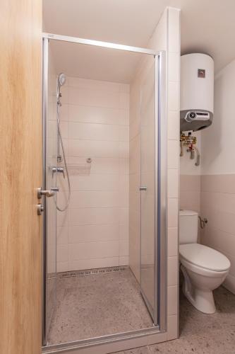 a bathroom with a shower with a toilet at Penzion Kopaninky in Bítov