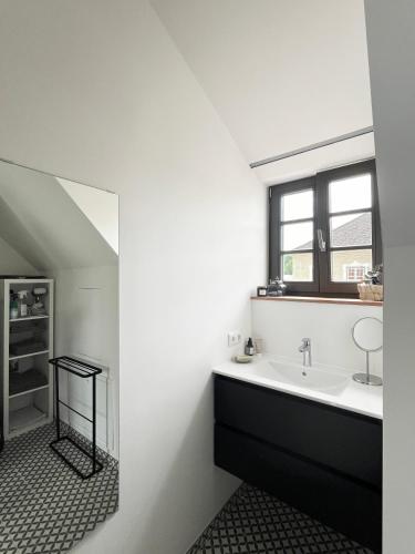 a bathroom with a sink and a mirror at Flösserhaus Steyr - Wohnen am Fluss in Steyr