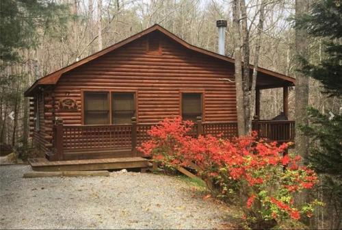 a cabin in the woods with red flowers in front of it at Pet-Friendly Mountain Heaven - Hot Tub and Fire Pit in Blue Ridge