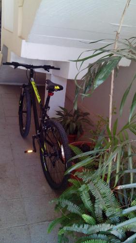 a bike parked next to a wall with plants at Don Santiago Guesthouse Downtown in San Ignacio