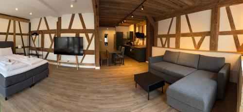 a living room with a bed and a couch and a tv at JURAFLAIR Apartments in Lichtenfels