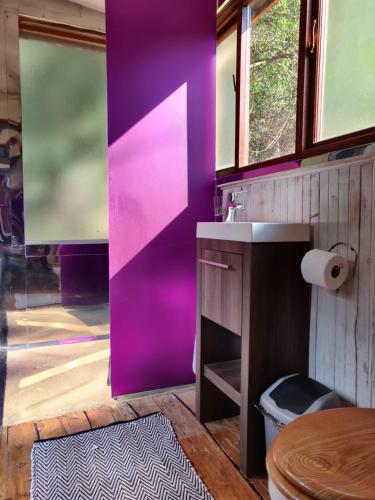 a bathroom with a purple wall and a sink at Evergreen Cabin Karkloof in Yarrow