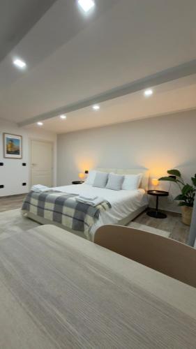 a large bedroom with a large bed with pillows at Casa Nika in Parma