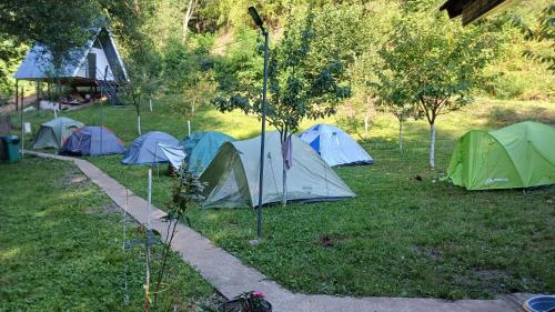 a group of tents in a field with trees at Camping Ciungani in Ciungani