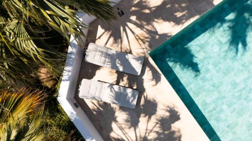 an overhead view of a swimming pool next to a palm tree at The Homega Villa in Il-Madliena