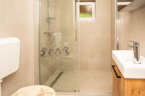 a bathroom with a shower and a toilet and a sink at Apartment Marin in Tkon