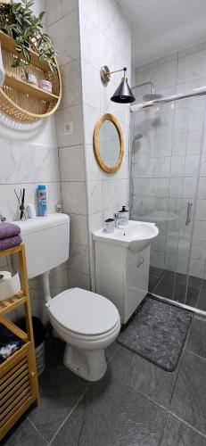 a bathroom with a toilet and a shower and a sink at Apartman Lavanda in Vrdnik