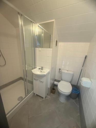 a bathroom with a toilet and a shower and a sink at Korab Wisełka & SPA in Wisełka