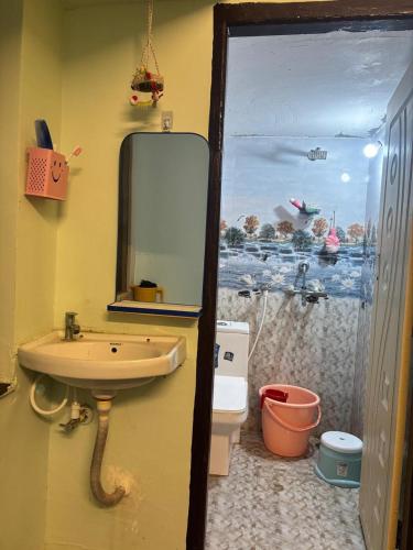a bathroom with a sink and a mirror and a toilet at Lara Homestay 1bhk Begumpet in Hyderabad