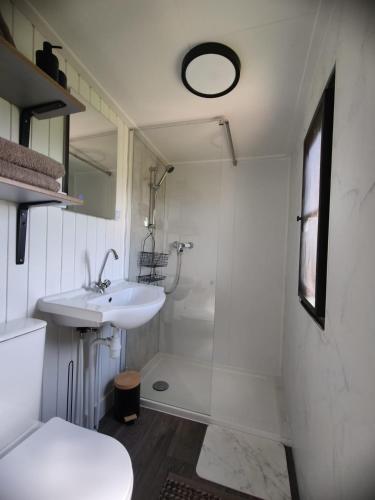 a white bathroom with a sink and a shower at A View for Two in Tarchamps