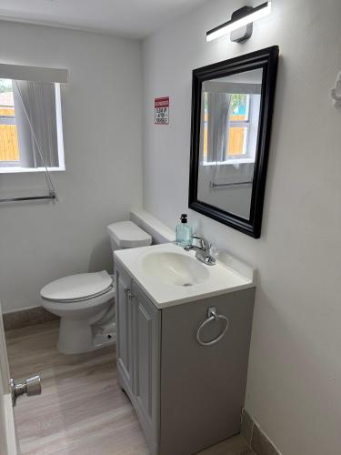 a bathroom with a toilet and a sink and a mirror at Daphne's Tropical Oasis Boutique Hostel in Hallandale Beach