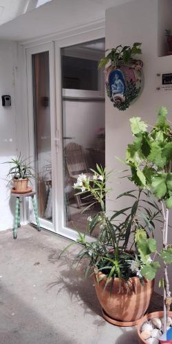 a porch with potted plants on the side of a house at Self contained private gite close to Carcassonne, rural location in Badens