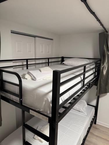 a couple of bunk beds in a room at Daphne's Tropical Oasis Boutique Hostel in Hallandale Beach