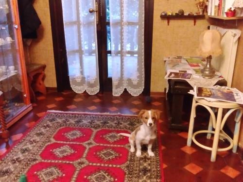 Casa Irene – Photos 5