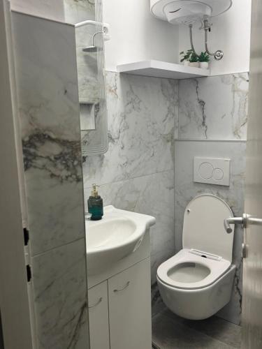 Apartment Ivana