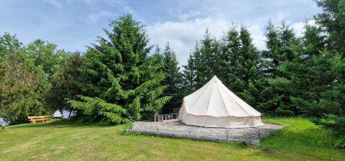 a white tent in a field next to trees at Kempingas Prie Vencavų malūno in Viencavai