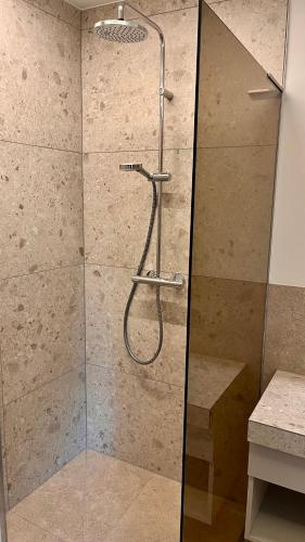 a shower with a glass door in a bathroom at Landhotel Gafringwirt in Euratsfeld
