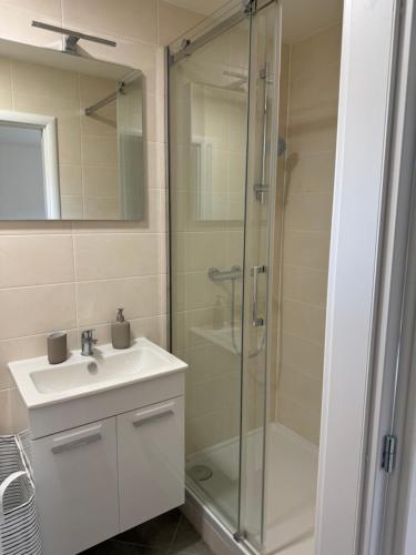 a bathroom with a sink and a glass shower at Natka a Ratka in Louka
