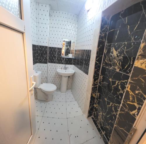 a bathroom with a toilet and a sink at Birol Hotel in Istanbul