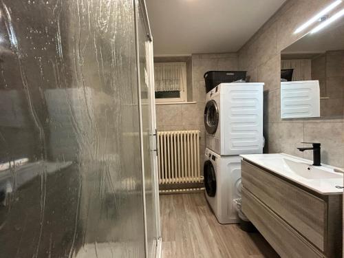 a bathroom with a washing machine and a sink at Appartement RDC Chalet à 300m du lac de Gérardmer in Gérardmer