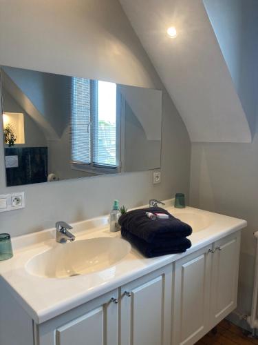 a bathroom with a sink and a large mirror at Ty-Aganisia Breizh in Perros-Guirec