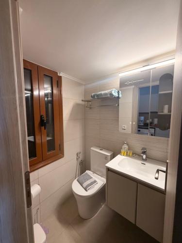 a bathroom with a toilet and a sink at Limanaki 1 in Chios