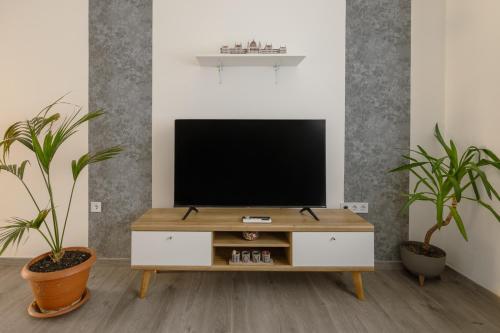 a living room with a tv and two plants at Terminal Garden Apartman in Budapest