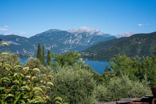 a view of a lake with mountains in the background at Ina's Lake Garden, Como Lake in Lenno