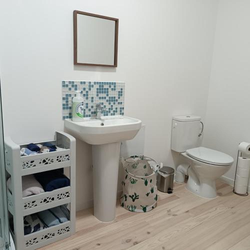 a bathroom with a sink and a toilet at Pyrenees Vue Gite - Owl - Vues Fantastique, Petit-Déjeuner, Calme, Piscine, Parking - Brand New in Saint-Gaudens