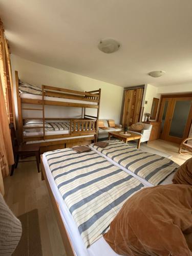 a bedroom with two bunk beds and a couch at Ubytování v Jedničce in Hrubá Skála