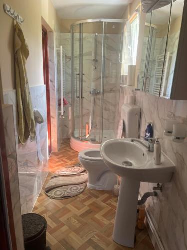 a bathroom with a shower and a sink and a toilet at Aranykéz vendégház in Şoimeni
