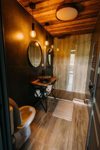 a bathroom with a toilet and a sink and a mirror at Tiny House Todireni in Vatra Dornei