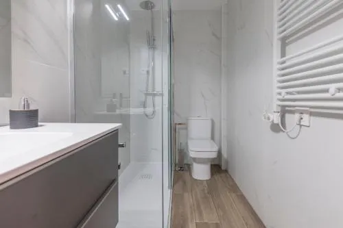 Apartamentos Dúplex Príncipe de Canalejas photo 24