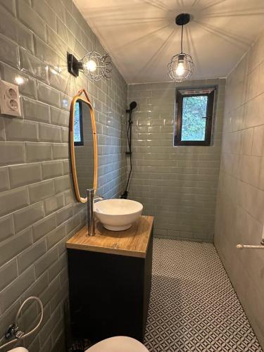 a bathroom with a sink and a mirror at Acasa la Coana Mare in Bălăneşti