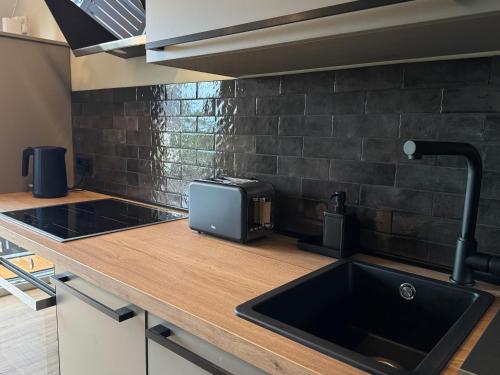 a kitchen with a sink and a toaster on a counter at Steigerwald Habitat in Oberschwarzach
