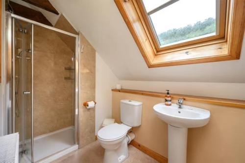 a bathroom with a toilet and a sink and a window at Elm Cottage in Aberfeldy