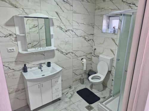 a bathroom with a toilet and a sink and a mirror at Apartman EC Milica in Stapar