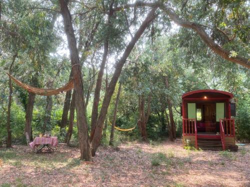 a red tent in the middle of a forest at Roulotte de luxe avec piscine partagée à Ramatuelle in Ramatuelle