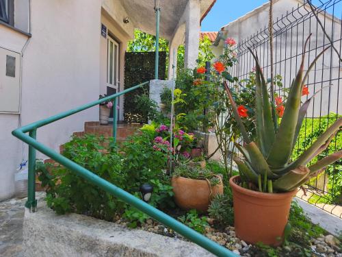 Apartman Campo