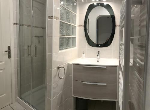 a bathroom with a shower and a sink and a mirror at Maisonnette à Coulon in Coulon