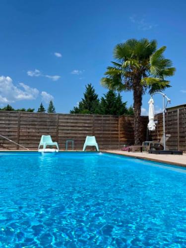 a swimming pool with blue water and a palm tree at Gîtes de La Condamine in Curbans