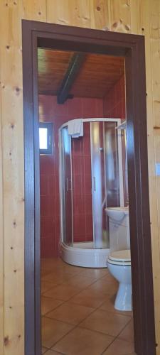 a bathroom with a toilet and a shower at Guest House Spoljaric Sasa in Rastovača