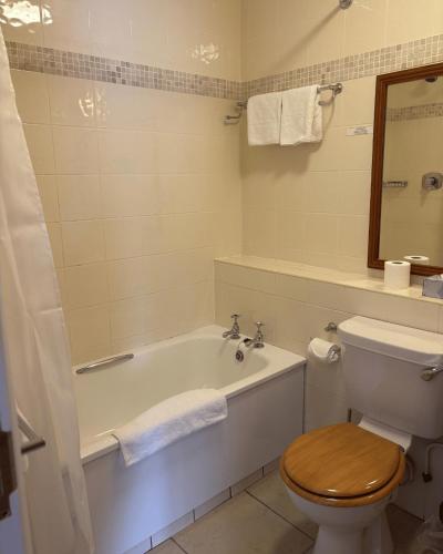 a bathroom with a tub and a toilet and a sink at Fairhill House Hotel in Clonbur