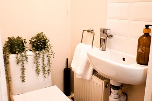 a bathroom with two plants in a toilet and a sink at The Walmer Retreat in Deal