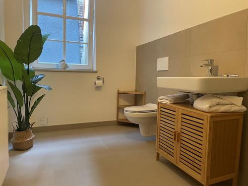 a bathroom with a sink and a toilet and a window at Soul Apartment in Aalen