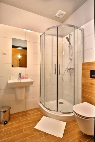 a bathroom with a shower and a toilet and a sink at Noclegi Onesto in Międzybrodzie Bialskie