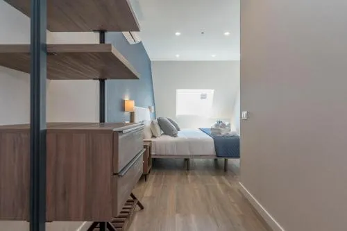 Apartamentos Dúplex Príncipe de Canalejas photo 11